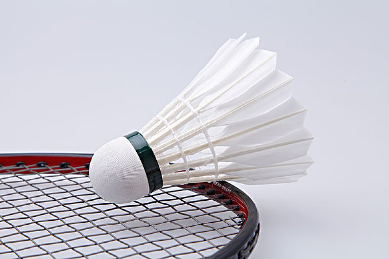 鲜明对比 鲜明对比